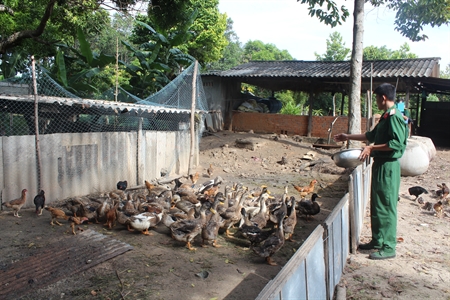 “Rau vườn, gà nhà” ở Trung đoàn 812