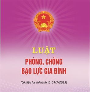 Quyền và trách nhiệm của người bị bạo lực gia đình