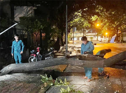LLVT tỉnh Bình Dương: Chủ động phòng, chống, khắc phục hậu quả thiên tai