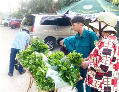 “Bó rau 0 đồng” - Ấm lòng công nhân xa quê