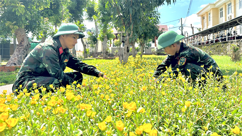 Trung đoàn Minh Đạm: Điểm sáng trong xây dựng đơn vị chính quy, xanh, sạch, đẹp