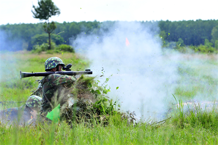 Trung đoàn Gia Định diễn tập chiến thuật cấp đại đội