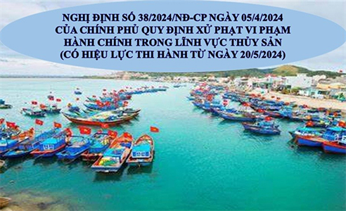 Hình thức xử phạt đối với hành vi vi phạm quy định về treo cờ quốc tịch trên tàu cá