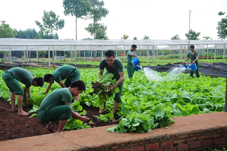 Bảo đảm hậu cần mùa nắng nóng