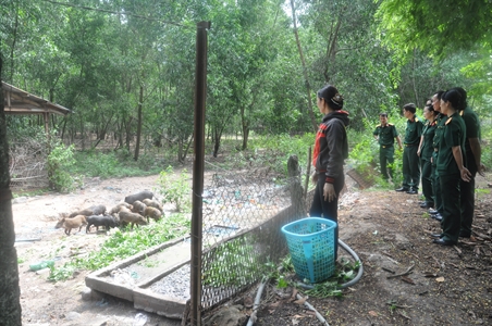 Kho K75 (Cục Kỹ thuật QK7): Mô hình phụ nữ làm kinh tế gia đình