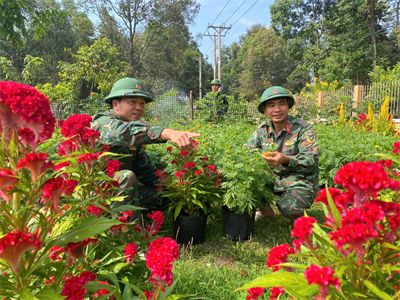 Sắc xuân ở Sư đoàn 7