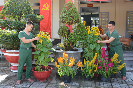 LLVT tỉnh Tây Ninh chuẩn bị đón tết