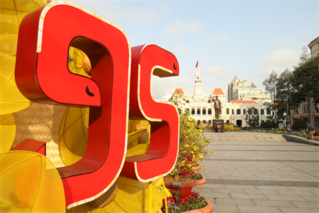 TPHCM rực rỡ cờ hoa mừng Đảng, mừng Xuân