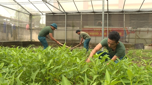 Về thăm quê hương địa đạo “Tam Giác sắt”