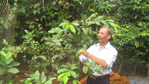 Thương binh tàn nhưng không phế