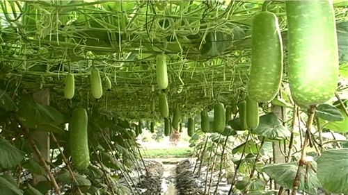 Ngành Hậu cần Quân khu 7: Chủ động bảo đảm hậu cần cho các nhiệm vụ