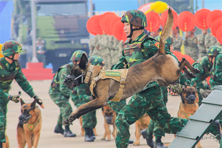 Cảnh khuyển bộ đội biên phòng đã có mặt tại TPHCM