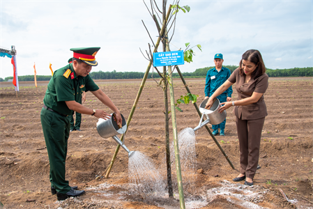 Năm 2025: LLVT tỉnh Bình Phước trồng thêm hơn 200 ngàn cây xanh