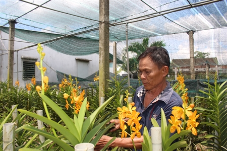 Cựu chiến binh tham gia xóa đói giảm nghèo