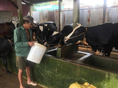 Kinh nghiệm làm kinh tế giỏi của một thương binh nặng