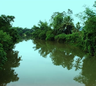 Nhớ con sông quê hương