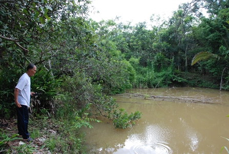Cựu chiến binh - cựu thanh niên xung phong làm kinh tế giỏi