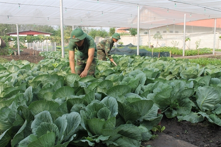 Đoàn viên thanh niên Kho VK102: Xung kích, sáng tạo