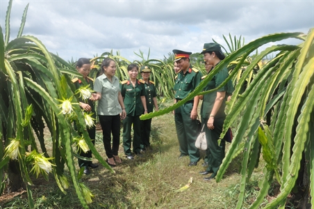 Hiệu quả từ nguồn vốn vay không tính lãi ở Quân khu 7