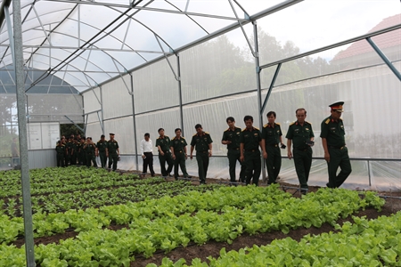 Bộ CHQS tỉnh Tây Ninh: Mô hình tăng gia sản xuất tập trung và quản lý doanh trại chính quy xanh, sạch, đẹp