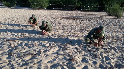 Tượng trưng, tạo giả trong diễn tập phòng ngự bờ biển