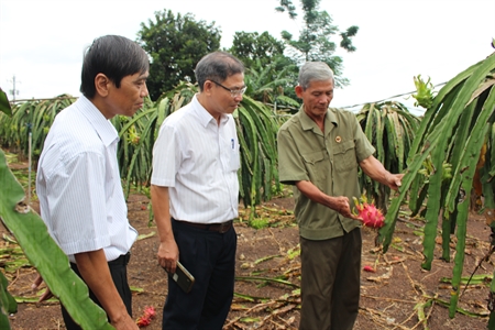 Hội Cựu chiến binh tỉnh Đồng Nai: Giúp nhau giảm nghèo, xây dựng Hội trong sạch vững mạnh