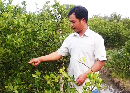 Đổi thay trên quê hương Bình Hòa Nam