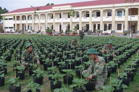 Sư đoàn 5: Trồng hoa chuẩn bị đón Xuân Mậu Tuất 2018