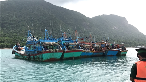 Huyện Côn Đảo khẩn trương đưa dân đến nơi an toàn