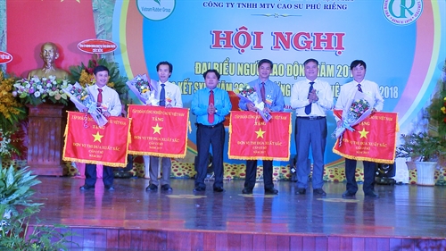 Công ty Cao su Phú Riềng:
Năng suất vườn cây đạt bình quân 2,34 tấn/ha, cao nhất ngành cao su Việt Nam