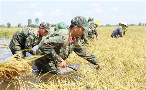 Đảng bộ quân sự tỉnh Long An: Nâng cao chất lượng công tác xây dựng Đảng