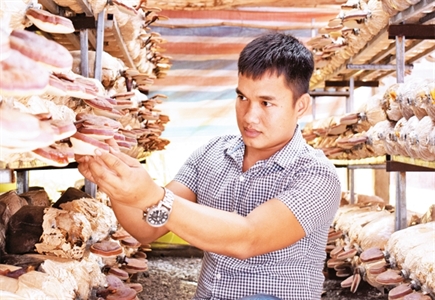 Lan tỏa phong trào thi đua yêu nước