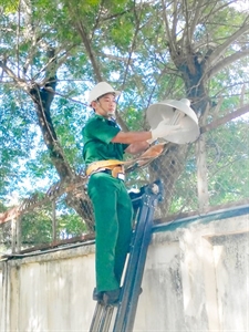 Khẳng định bằng ý chí