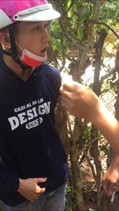 Đồn Biên phòng Phước Thuận (BR-VT) bắt đối tượng mua bán trái phép chất ma túy