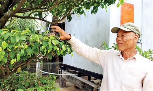 Nông dân noi gương Bác