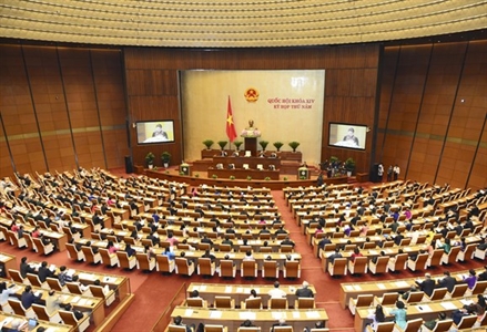 Cử tri kỳ vọng