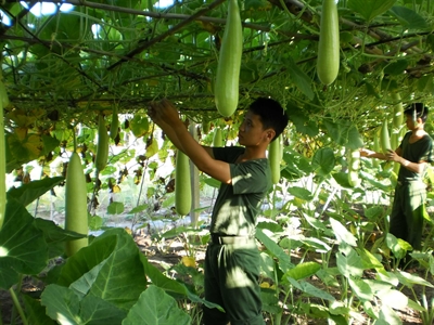 Đại đội 61 – Đơn vị sản xuất giỏi