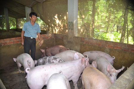 Chi hội trưởng Cựu chiến binh gương mẫu