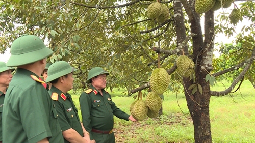 Đơn vị điển hình trong hoạt động tăng gia sản xuất