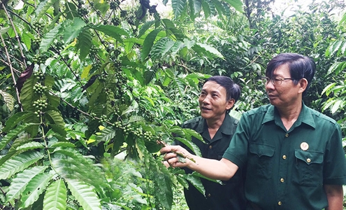 Thương binh Nguyễn Văn Sáng – Nặng lòng với công tác xã hội