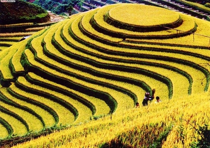 Mùa thu Tháng Tám
