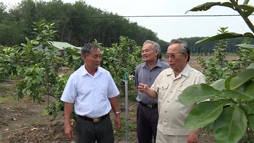 Tỉnh Bình Dương -  Những cựu chiến binh làm kinh tế giỏi