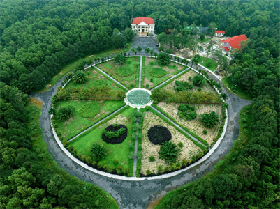 Dưới tán rừng Lò Gò - Xa Mát