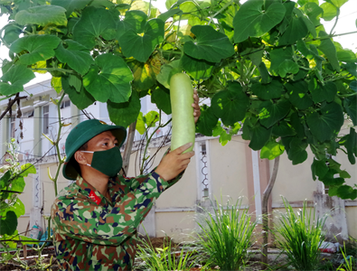 Đẩy mạnh tăng gia trong mùa dịch