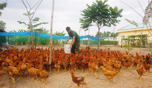 Ngành Hậu cần Bộ Tham mưu Quân khu đẩy mạnh tăng gia sản xuất, nâng cao đời sống bộ đội