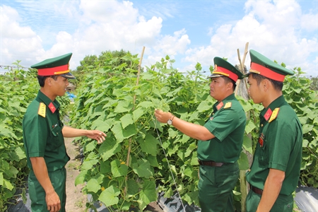 Sư đoàn 5 chăm lo tết cho bộ đội