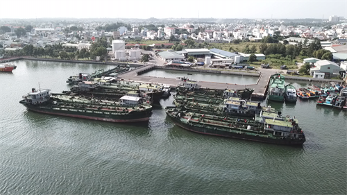 Công ty TNHH MTV Đông Hải: Vững bước trên đường hội nhập