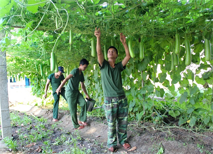 Lữ đoàn 25: Chuyển đổi mô hình tăng gia để phát triển bền vững