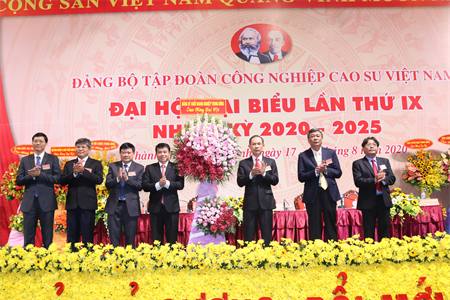 Đảng bộ Tập đoàn Công nghiệp Cao su Việt Nam Đại hội đại biểu lần thứ IX