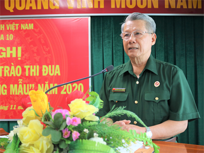 Cụm thi đua 10 tổng kết Phong trào thi đua “Cựu chiến binh gương mẫu”